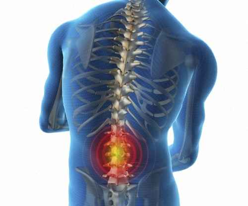 Біль у спині від сидячого способу життя – як уникнути люмбаго- Фото 1 Біль у спині від сидячого способу життя – як уникнути люмбаго- Фото 1