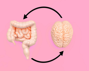 Стрес, тривожність і кислотність: зв’язок між мозком і кишківником