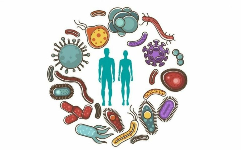 Як мікробіом впливає на біль у суглобах- Фото 1